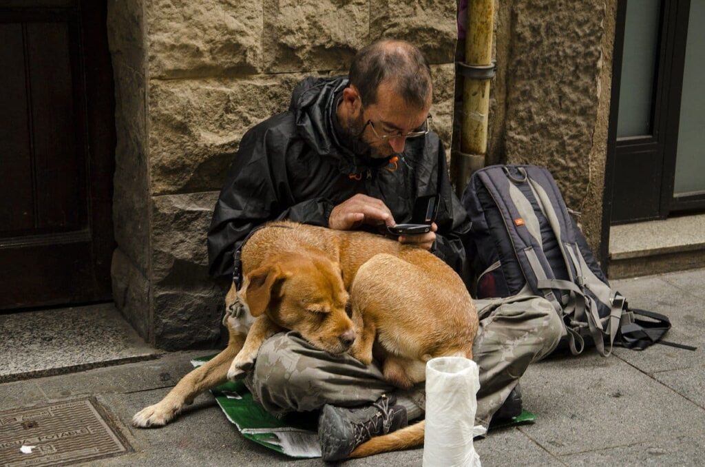 cuidando a un perro