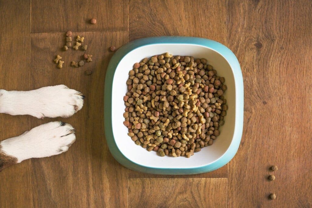 nutricion para perros