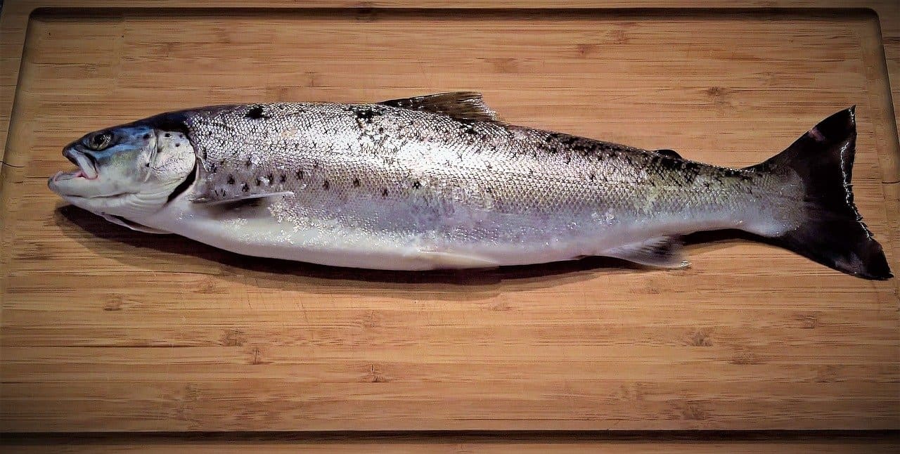 pescado