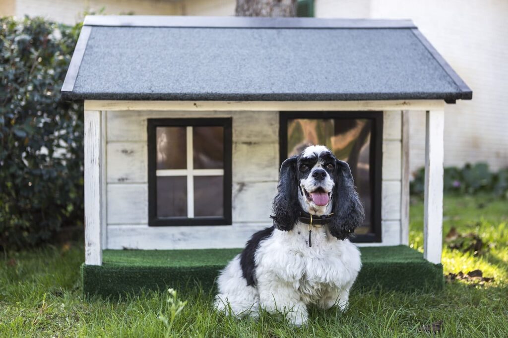 casa para perro